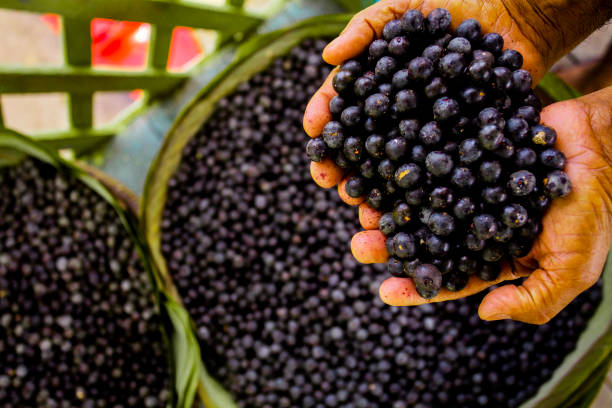 Parceiro Açaí do Mateus